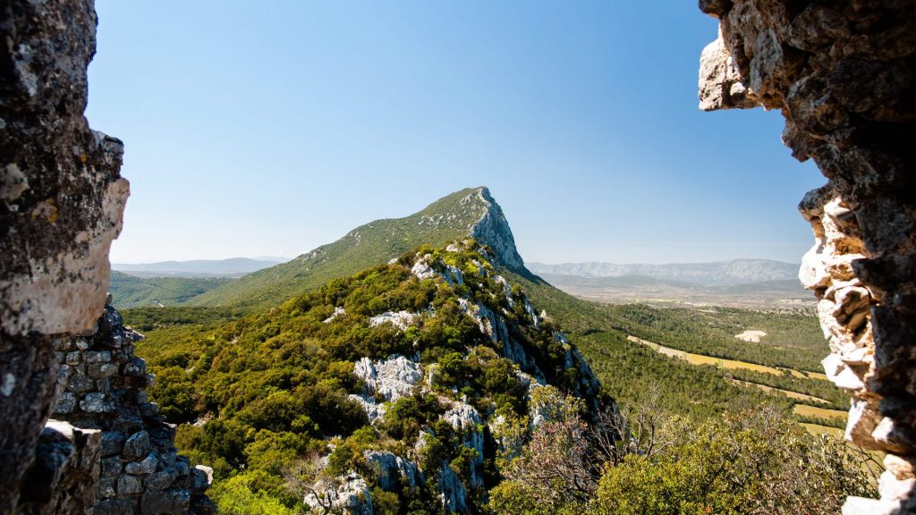 Vue sur le Pic Saint-Loup, paysage d'été ensoleillé, Région Occitanie, Hérault, France